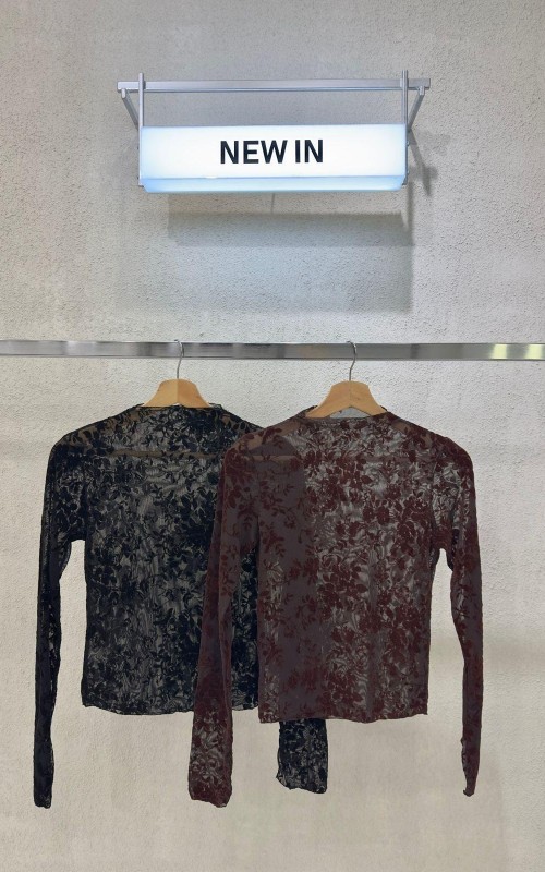 TOP ML FLOG (FLORES] - Art.43
